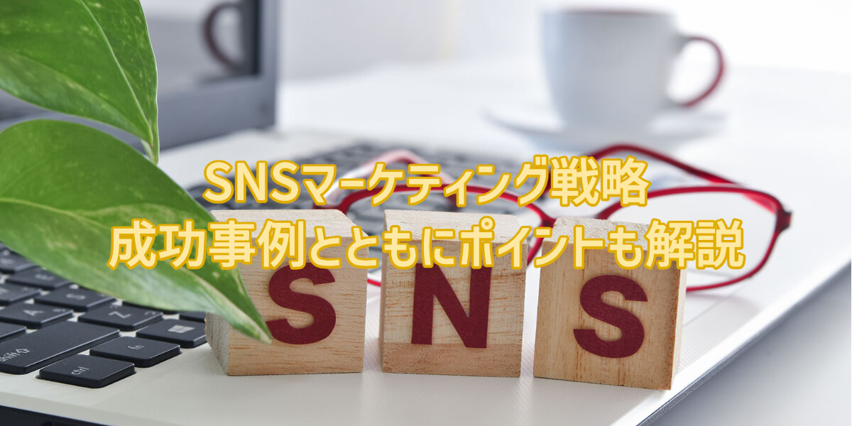 SNS 戦略